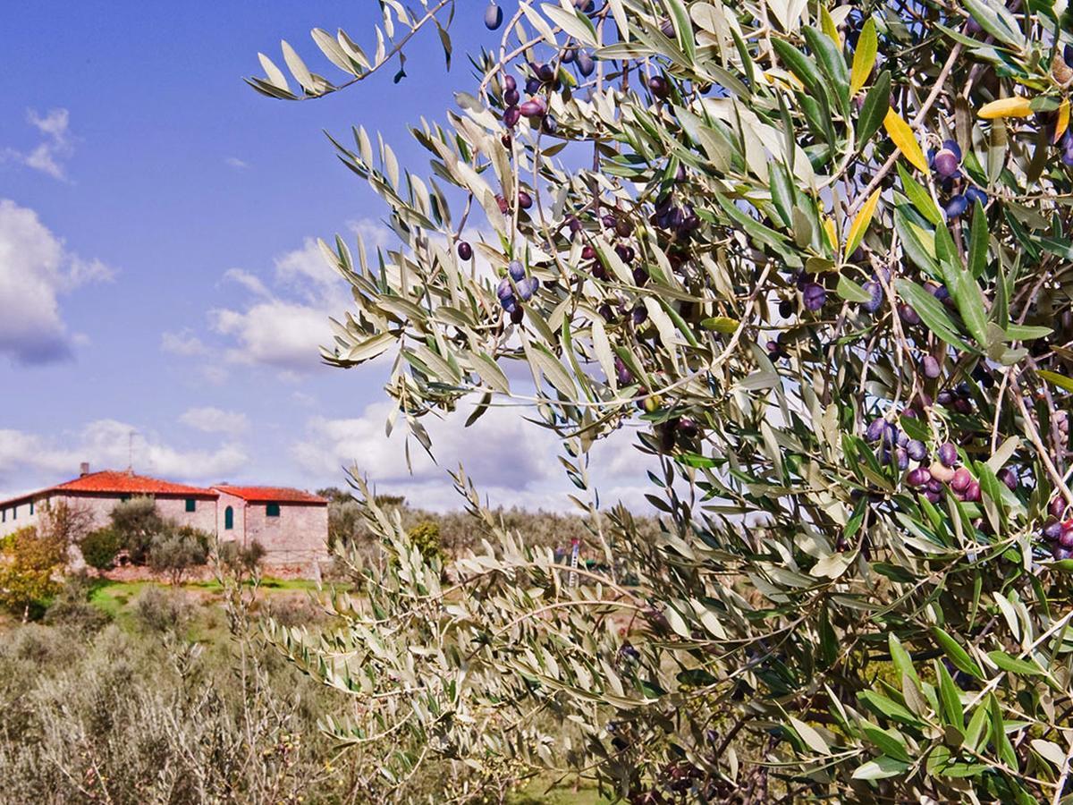 Belvilla By Oyo La Casa Dei Cinque Olivi Quarrata Exteriér fotografie